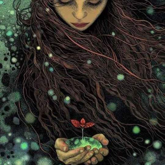 seed in your hands